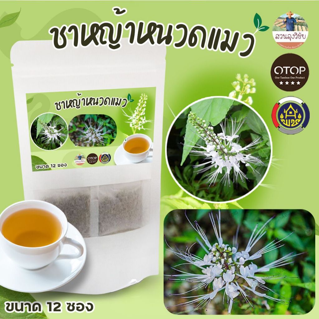 หญ้าหนวดแมว ชาหญ้าหนวดแมว ไม่ผสมน้ำตาล สินค้าดี OTOP ขนาด 12 ซองชา