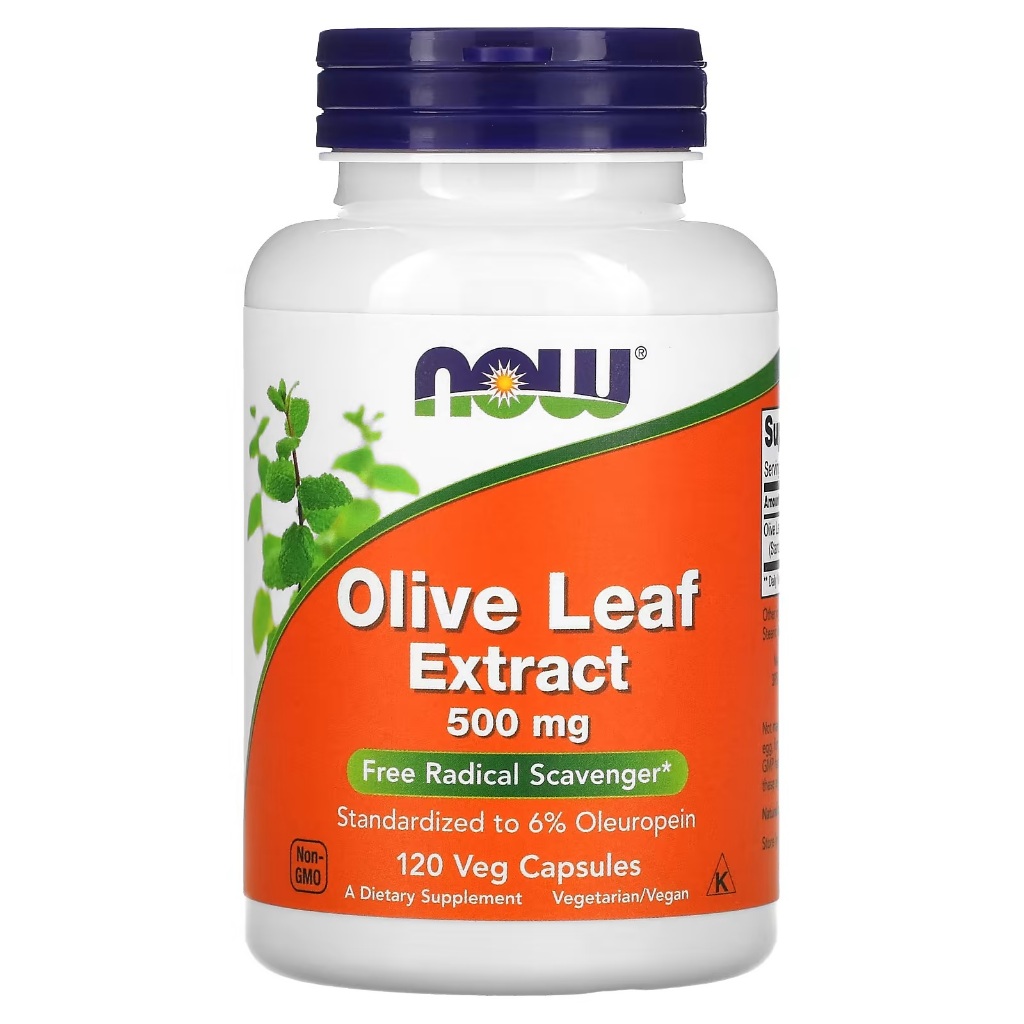 Olive Leaf Extract 500 mg 120 cabs, สารสกัดจากใบมะกอก ขนาด 500 มก. บรรจุแคปซูลผัก 120 แคปซูล,NOW Foo