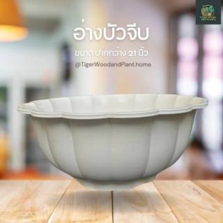กระถางอ่างบัวจีบ อ่างเลี้ยงปลา อ่างบัว ขนาดปากกระถาง 21 นิ้ว