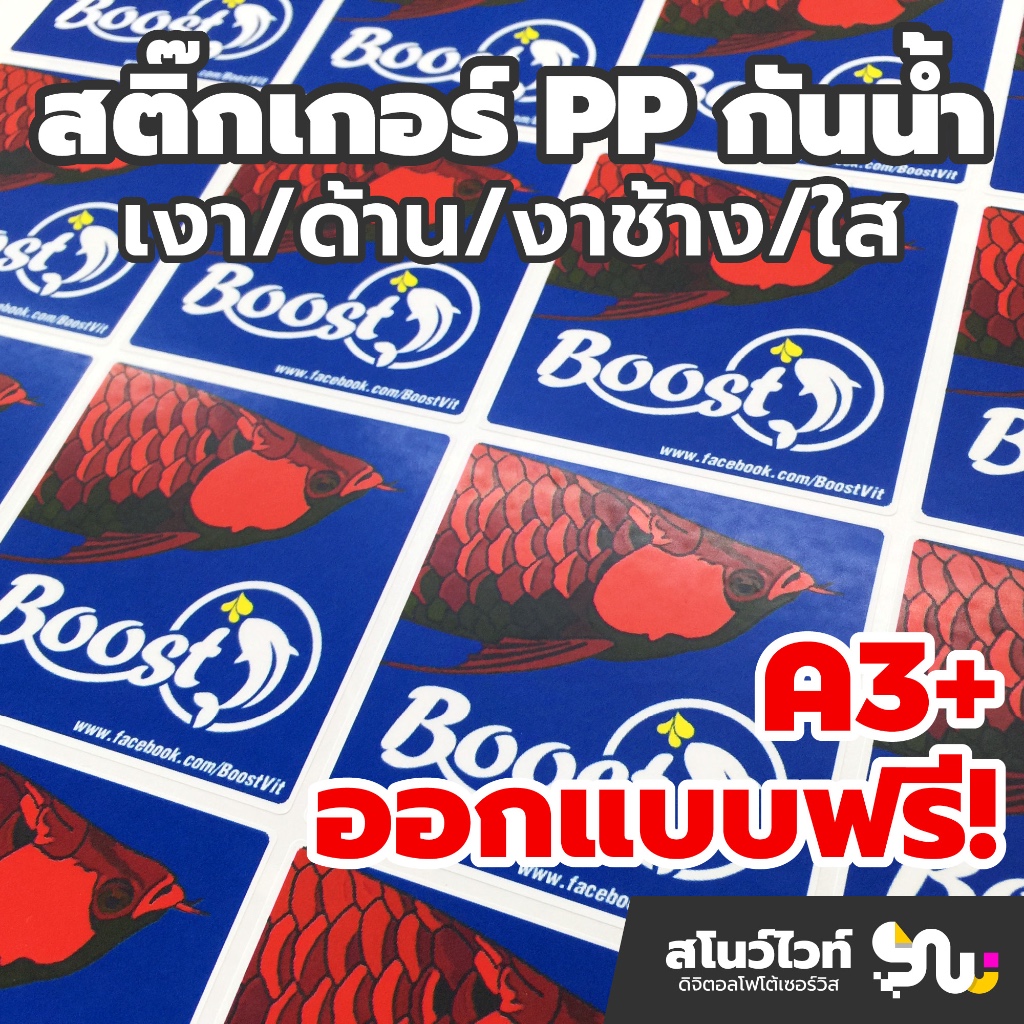 สติ๊กเกอร์กันน้ำ PP เงา/ด้าน/พื้นใส พื้นที่ A3+ ฉลากสินค้าพร้อมไดคัท ออกแบบฟรี 🖌️ ราคาถูก ส่งเร็ว