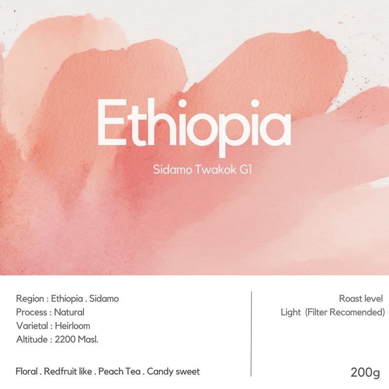 (Seasonal bean) เมล็ดกาแฟ Ethiopia Sidamo Twakok G1