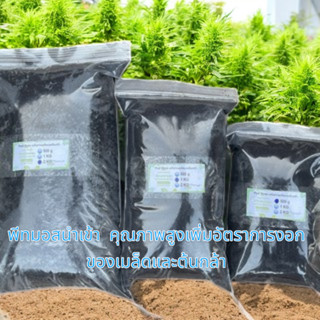 พีทมอสนำเข้าคุณภาพสูง    สำหรับเพาะเมล็ดและ ต้นกล้าแบ่งขาย