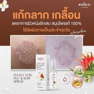 สเปรย์พญายอ พลูคาว แก้คัน น้ำเหลืองเสีย แก้สิวเม็ดผดผื่นคัน …