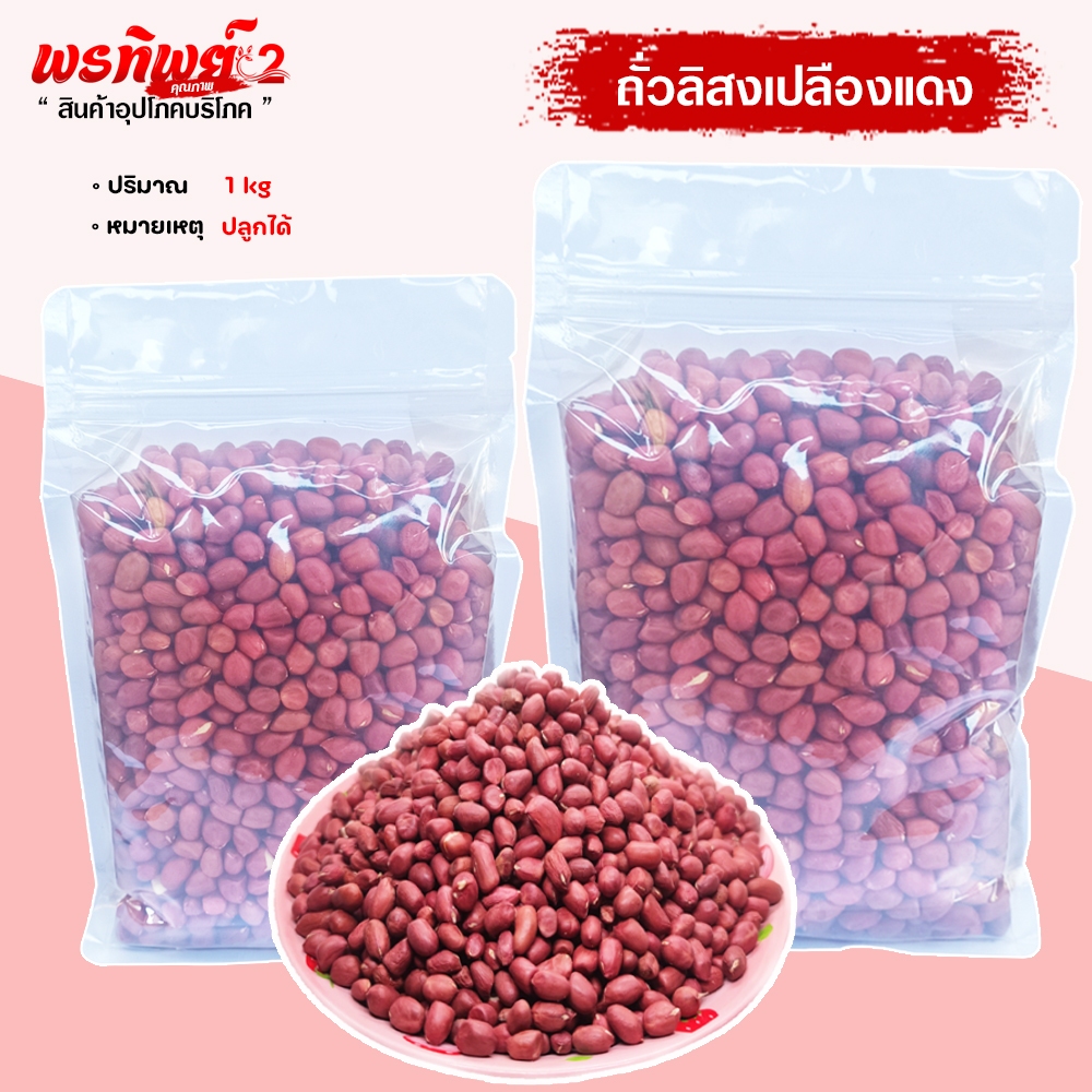 ถั่วลิสงดิบแดง ถั่วดินไทใหญ่แม่สาย แกะเมล็ด เกรดA ใหม่ ๆ น้ำหนัก (800 กรัม ) สามารถนำไปปลูกได้