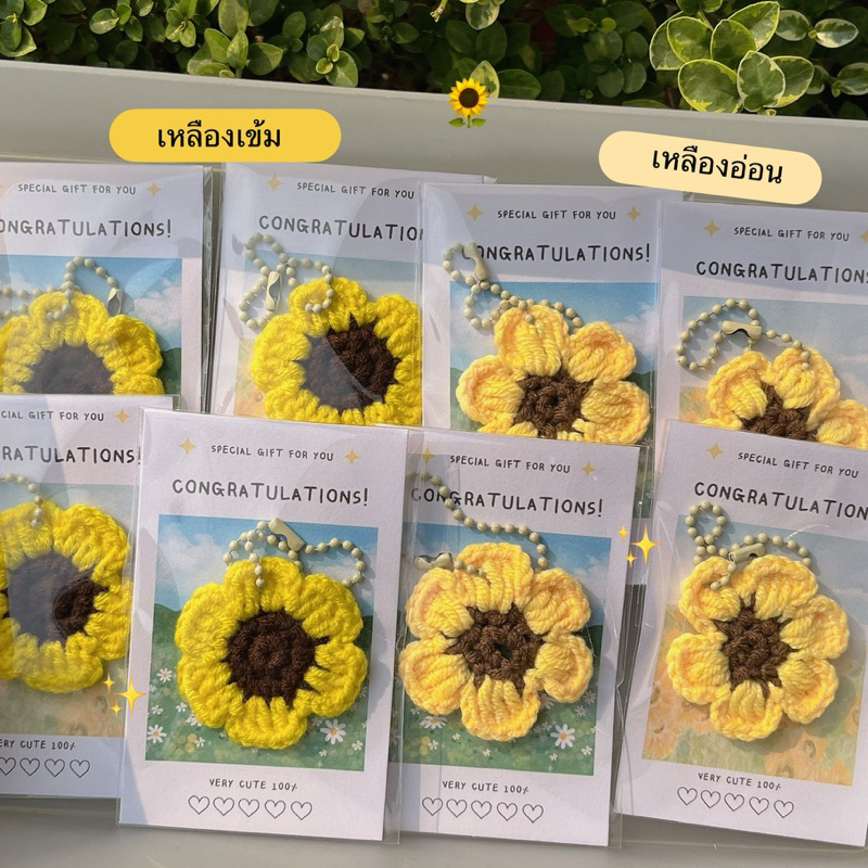 รูปภาพ 8