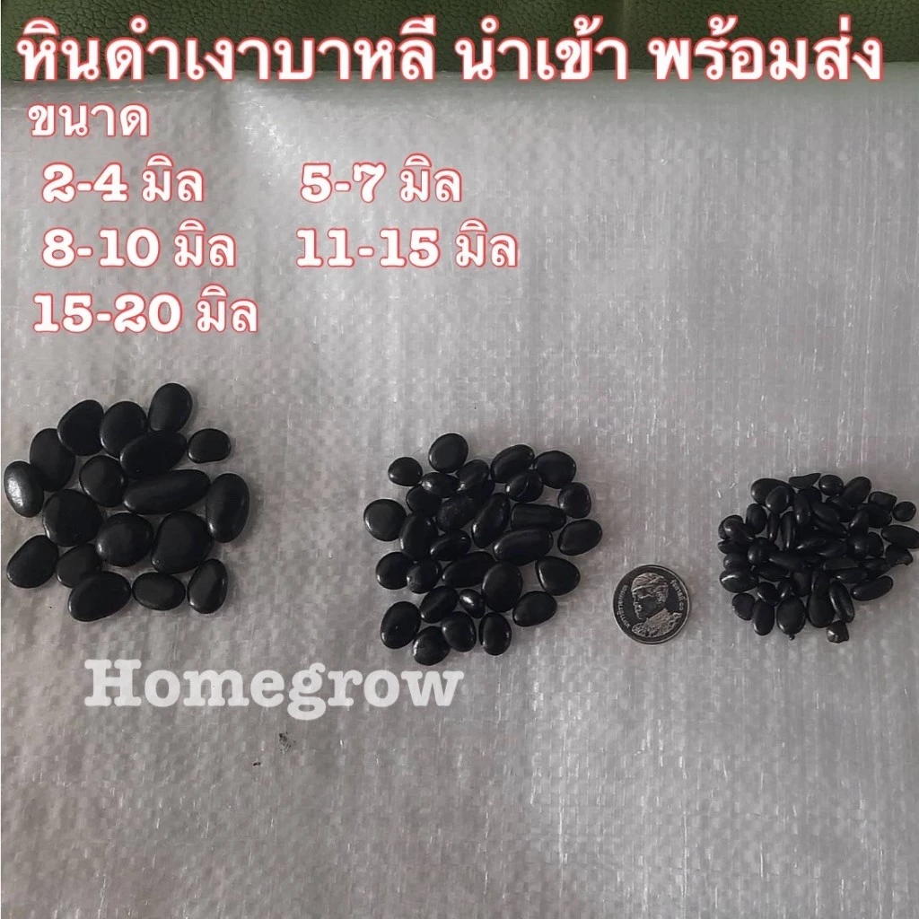 หินขาวเงา หินลาวาดำออสเตรเลีย คัดพิเศษ หินโรยหน้ากระถาง หินตู้ปลา หินแคคตัส หินแม่น้ำ thumbnail 5