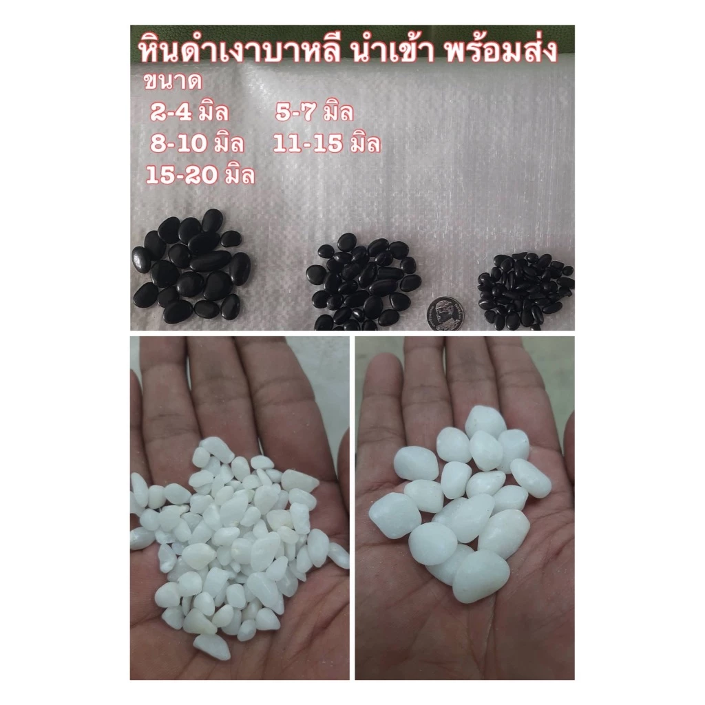 หินขาวเงา หินลาวาดำออสเตรเลีย คัดพิเศษ หินโรยหน้ากระถาง หินตู้ปลา หินแคคตัส หินแม่น้ำ thumbnail 4