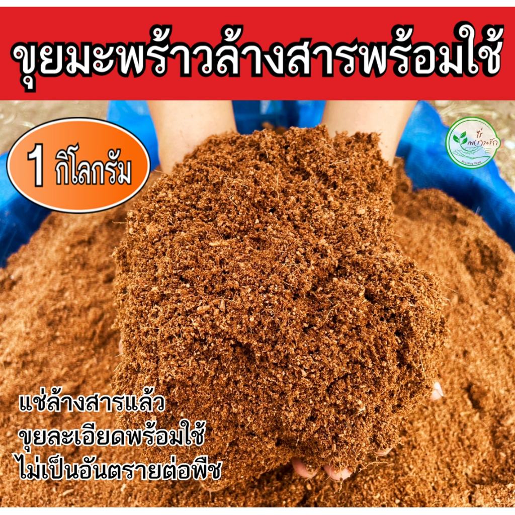 ขุยมะพร้าว ล้างสารเทนนิน ร่อนละเอียดพร้อมใช้ 1 กิโล สามารถนำไปใช้งานได้เลย  ขุยมะพร้าวร่อนละเอียด ล้างสารเทนนินพร้อมใช้ ราคา ถูกที่สุด ดีลบีเคเค แกลเลอรีภาพที่ 2