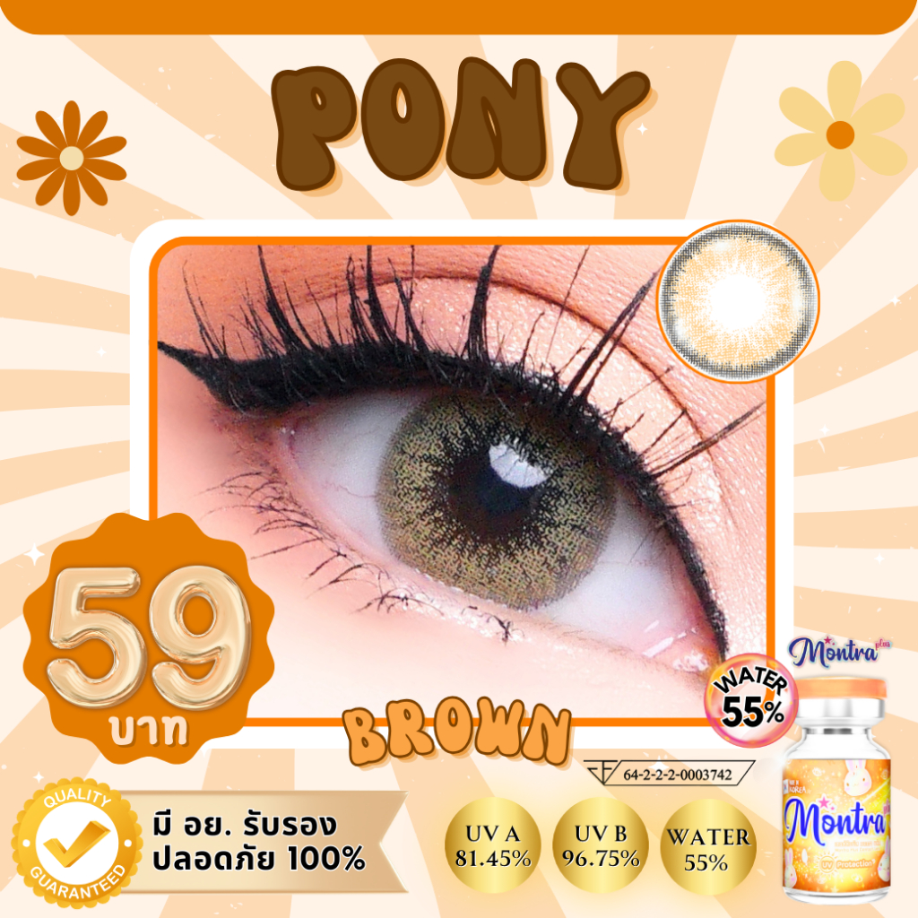 ⭐ อัพเดตเข้าใหม่ !! Pony โพนี่ ลายยอดฮิต สาย ฝอ ในตำนาน พร้อมส่งสีเทาและน้ำตาล