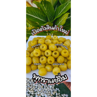 *สินค้าน้องใหม่*พุทราแช่อิ่ม ขนาด 500 กรัม แถมพริกเกลือ