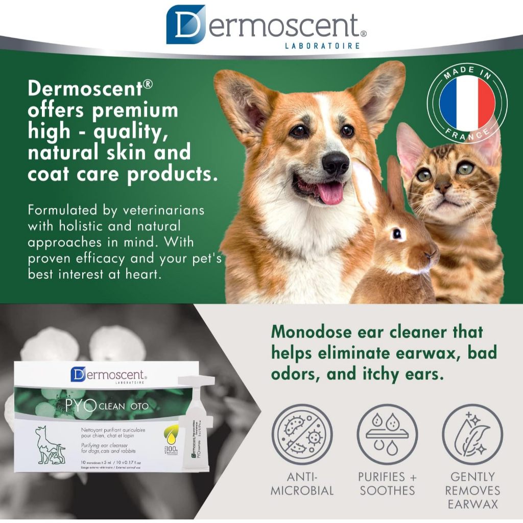 Dermoscent [แท้💯] PYOclean OTO ผลิตภัณฑ์ดูแลช่องหู หูอักเสบ ติดเชื้อ สำหรับสุนัข แมว และกระต่าย 🇫🇷