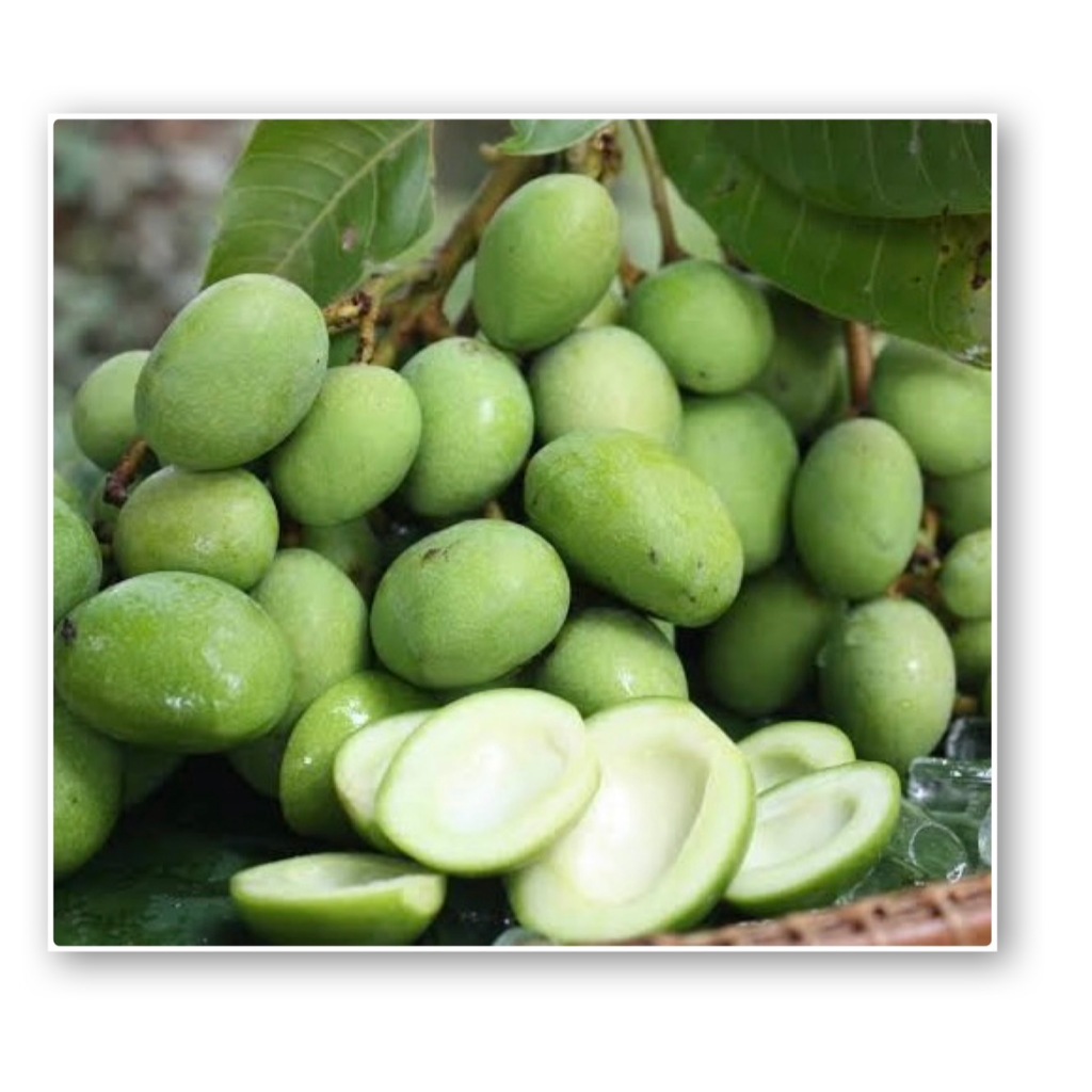 มะม่วงเบาใต้ (1000 กรัม) รสชาติกรอบอร่อย ปลอดสาร สวนเกษตรอินทรีย์