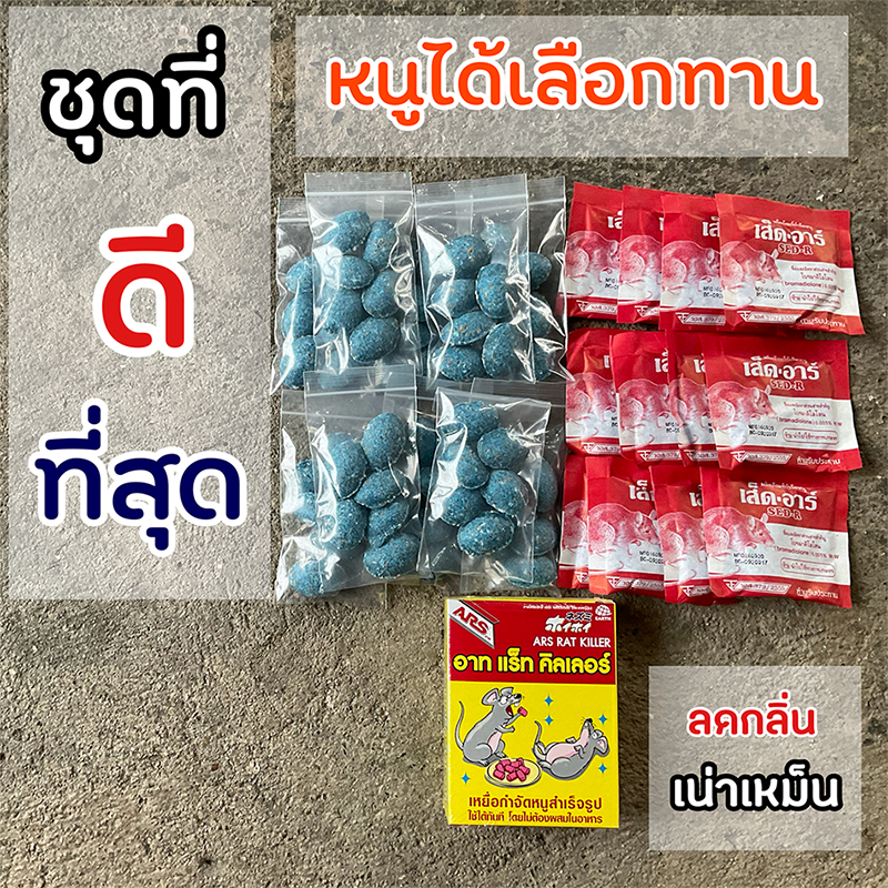 ยาเบื่อหนู ตายแห้ง ชุดที่ดีที่สุดจากการใช้งานจริง วางไว้เฉยๆ สำหรับหนูไม่เกิน 3 - 6 ตัว สำเร็จรูป