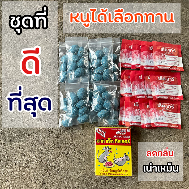 ยาเบื่อหนู ตายแห้ง ชุดที่ดีที่สุดจากการใช้งานจริง วางไว้เฉยๆ สำหรับหนูไม่เกิน 3 - 6 ตัว สำเร็จรูป