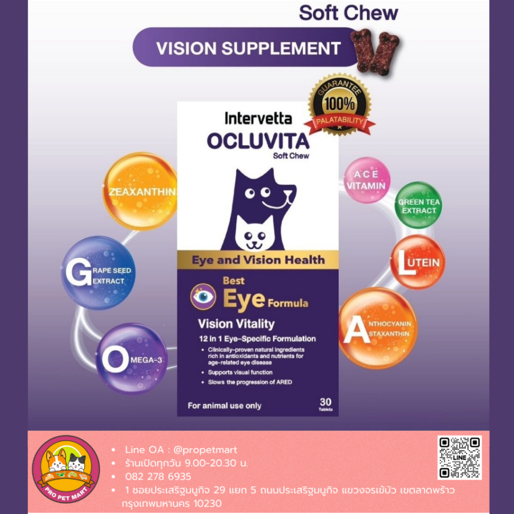 Intervetta Ocluvita Eye and Vision Health 30เม็ด วิตามินบำรุงสายตาสุนัข-แมว เสริมการมองเห็น บำรุงจอต