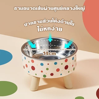 PetStern ชามอาหารแมว ชามสแตนเลส 2ชั้น มีชามส ทรงยกสูง ทําความสะอาดง่าย มีขอบยางกันลื่น ชามใส่อาหารสำหรับสัตว์เลี้ยง