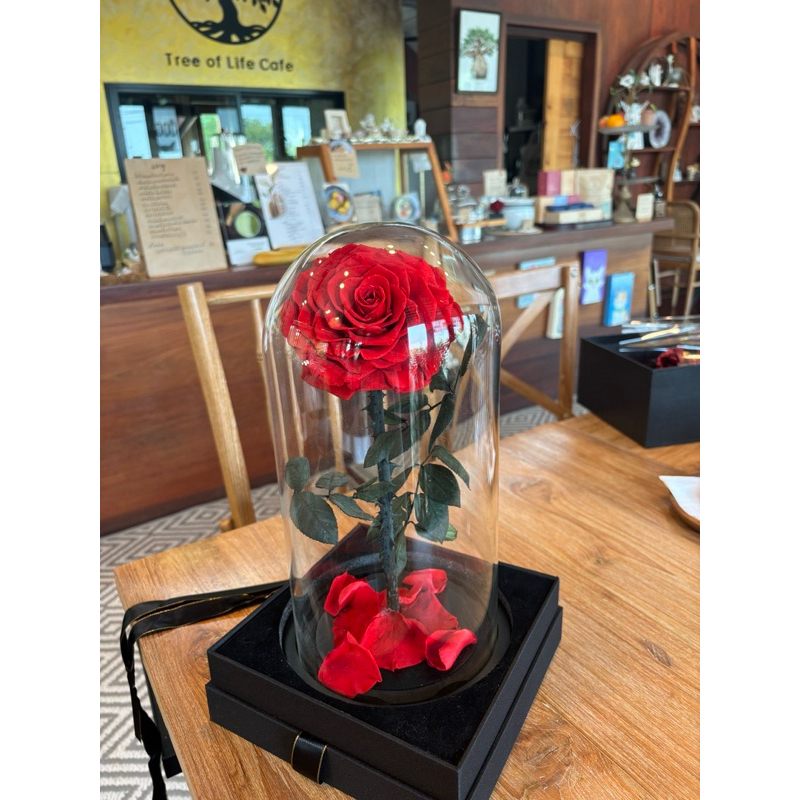 โดมกุหลาบของจริง100%ฐานกว้าง 18cm สูง32cmแลช่อกุหลาบทองคำ24k – โปรปัง