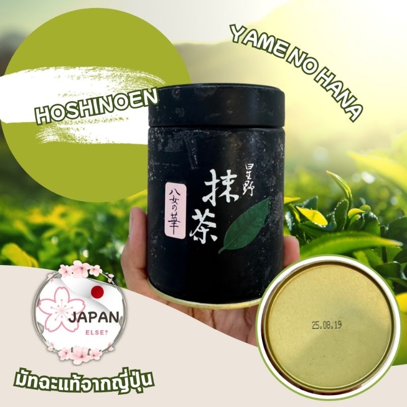 พร้อมส่ง ไม่ต้องรอพรี Matcha Hoshinoen Yame no hana 100g