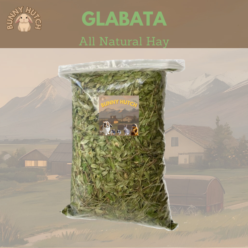 หญ้าถั่วกลาบาต้า Glabata 500 G