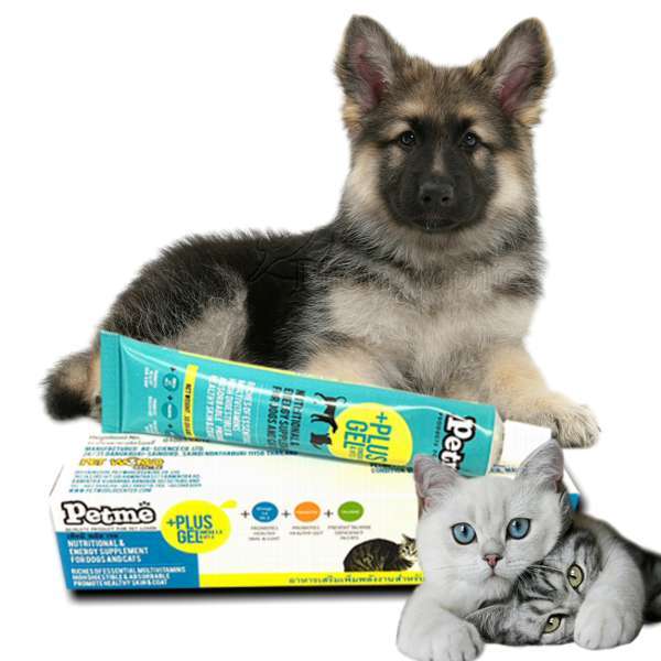 Petme plus gel เพ็ทมีเจล มี2 ขนาด เจลอาหารเสริมเพิ่มพลังงาน เพิ่มความอยากอาหาร สำหรับสุนัขและแมว