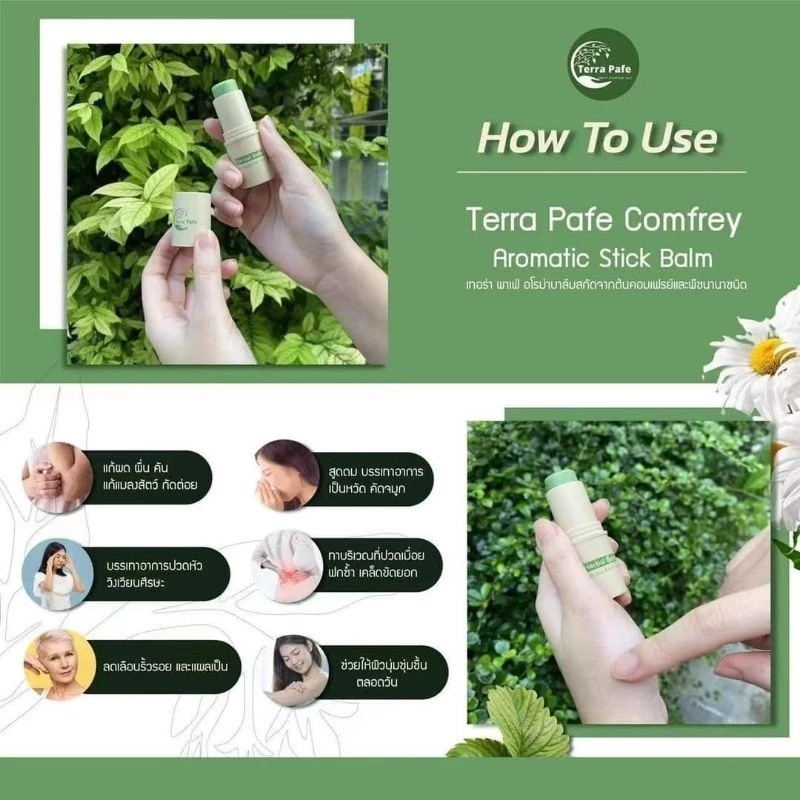 รูปภาพ 6