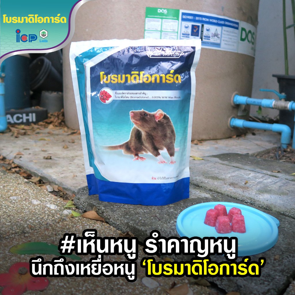 🔥ออกใบกำกับภาษีได้📌 ยาเบื่อหนู เหยื่อกำจัดหนู โปรมาดิโอการ์ด ตายแห้ง ขนาด 10 ก้อน