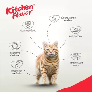 Kitchen Flavor Grain free Cat Food for All Life Stages อาหารสำหรับแมวทุกช่วงวัย คิทเช่น เฟลเวอร์ ขนาด 1.5kg.