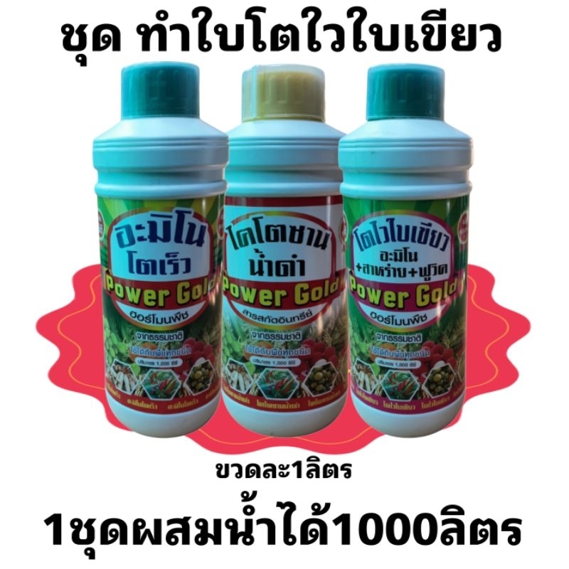 ชุดทำใบเขียวใหญ่ใบดกดำฮอร์โมนพืช ( ขนาด1ลิตร3ขวด) 1ชุดผสมน้ำใช้ได้1000ลิตรใช้ได้กับพืชทุกชนิด