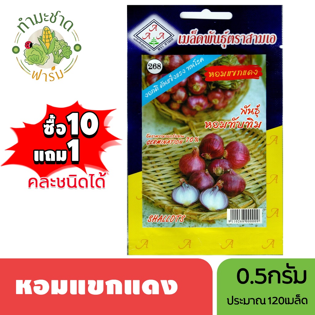 3A (ซื้อ10แถม1) เมล็ดพันธุ์ ต้นหอมญี่ปุ่น ขนาด 0.5 กรัม ประมาณ 150 เมล็ด BUNCHING ONION ต้นหอม เมล็ดพันธุ์พืช เมล็ดผัก