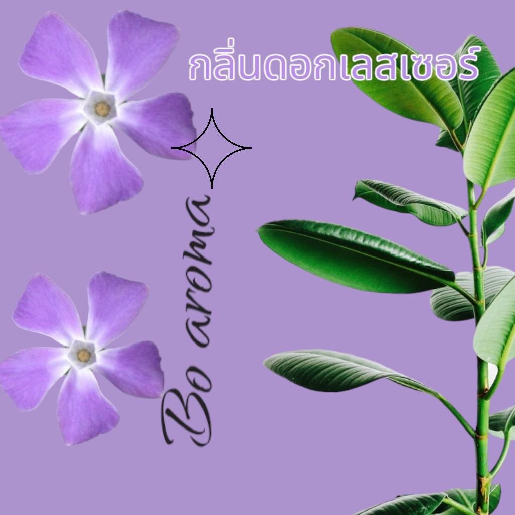 เกลือหอมดับกลิ่น  เกลือหอมปรับอากาศขนาด 50 และ 100กรัม ใช้ในห้องนอน ห้องน้ำ ตู้เสื้อผ้า - รูปที่ 2