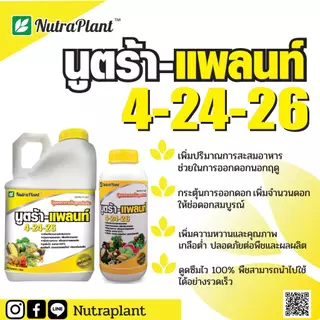 นูตร้าแพลนท์ 4-24-26 ขนาด 1ลิตร ใช้สะสมอาหาร ให้พร้อมออกดอก เปิดตาดอก ออกเต็มต้น อัตราใช้ 300 ซีซี ต่อน้ำ 200 ลิตร