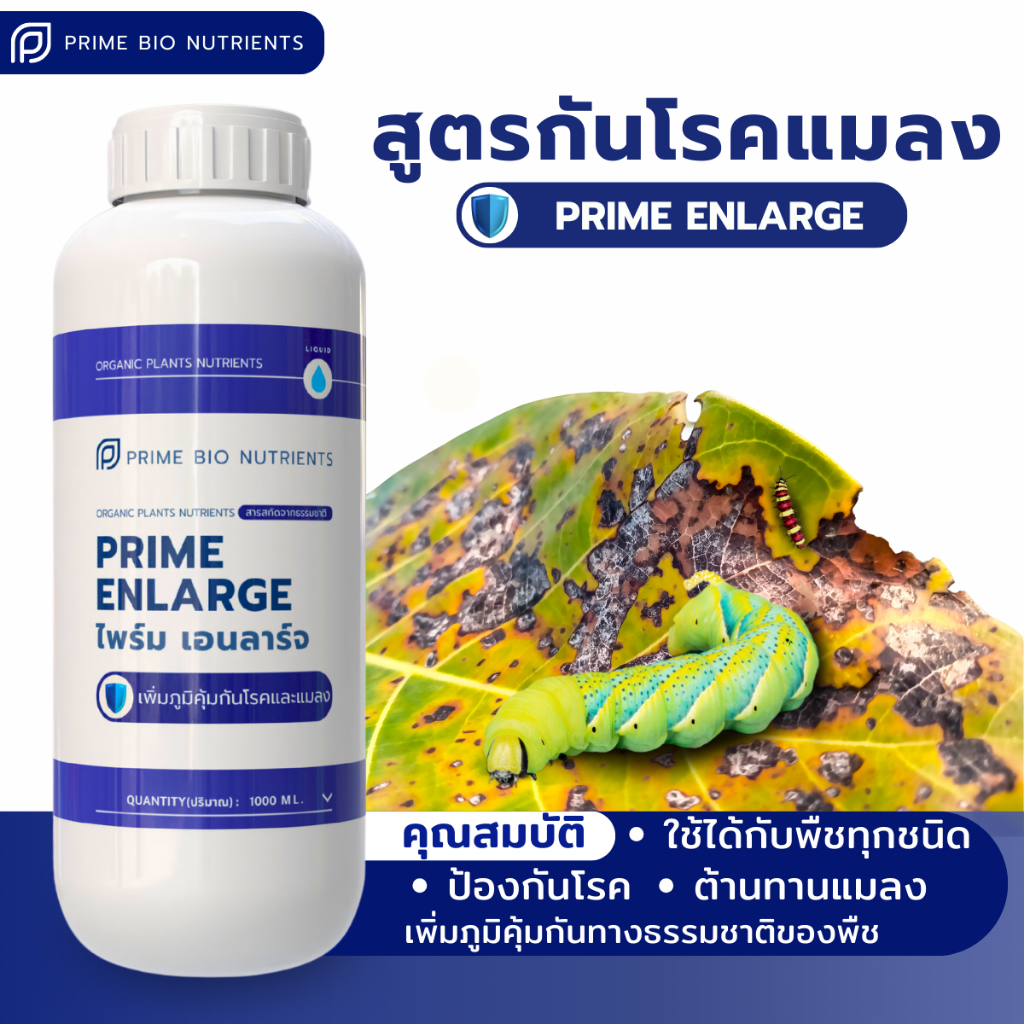 สารสกัดจากธรรมชาติใช้ป้องกันโรคและแมลง ให้กับพืชและผักทุกชนิด Prime ENLARGE