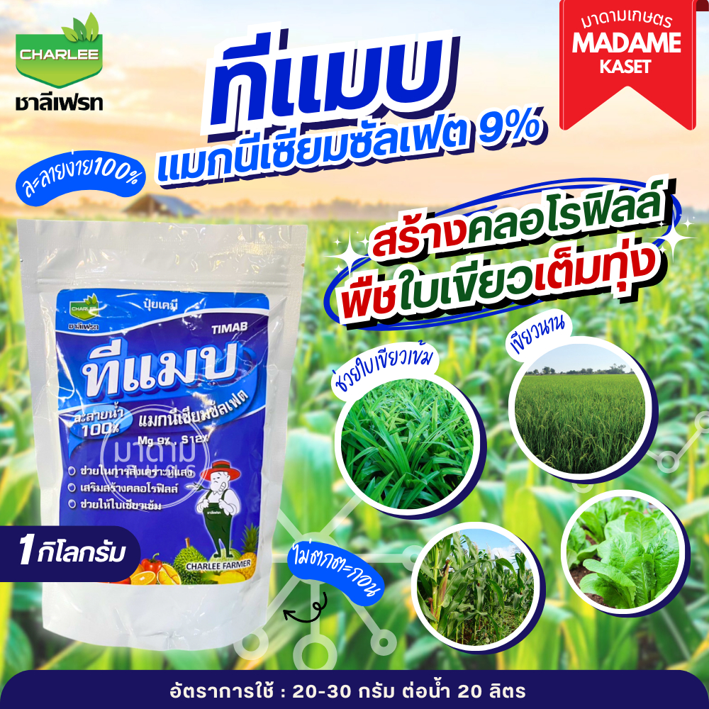ใหม่!! ทีแมบ แมกนีเซียมซัลเฟต ปุ๋ยเกล็ดชาลีเฟรท 1 กิโลกรัม สร้างคลอโรฟิลล์ ช่วยเสริมพืชใบเขียวเข้ม เขียวนาน
