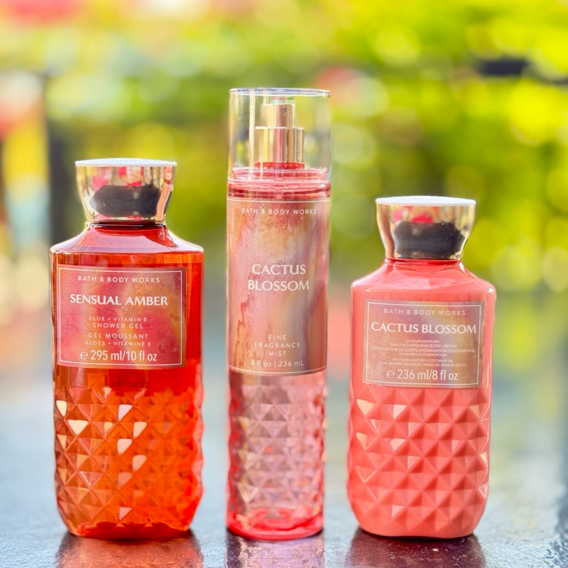 SENSUAL AMBER , CACTUS BLOSSOM🌸 แท้💯% Bath & Body Works