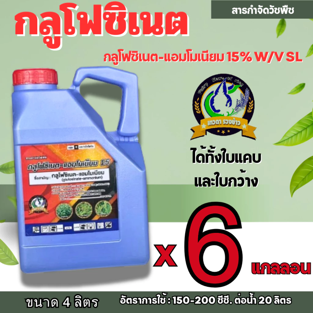 (ยกลัง 6 แกลลอน) กลูโฟซิเนต แอมโมเนียม 4 ลิตร น้ำสีฟ้าสูตรพิเศษ เทวดารวงข้าว สูตรทนฝน กลูโฟ ลูบข้าวดีด หญ้าใบแคบ ใบกว้าง
