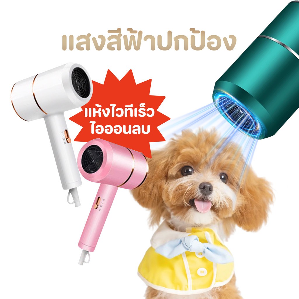TUBI ต่ำเสียงสัตว์เลี้ยงตัวเป่าลูกสุนัขตัวเป่าแมวเสียงต่ำเสียงต่ำผมฟาสต์เพ็ทเลี้ยงสัตว์เลี้ยงให้แห้ง2800W