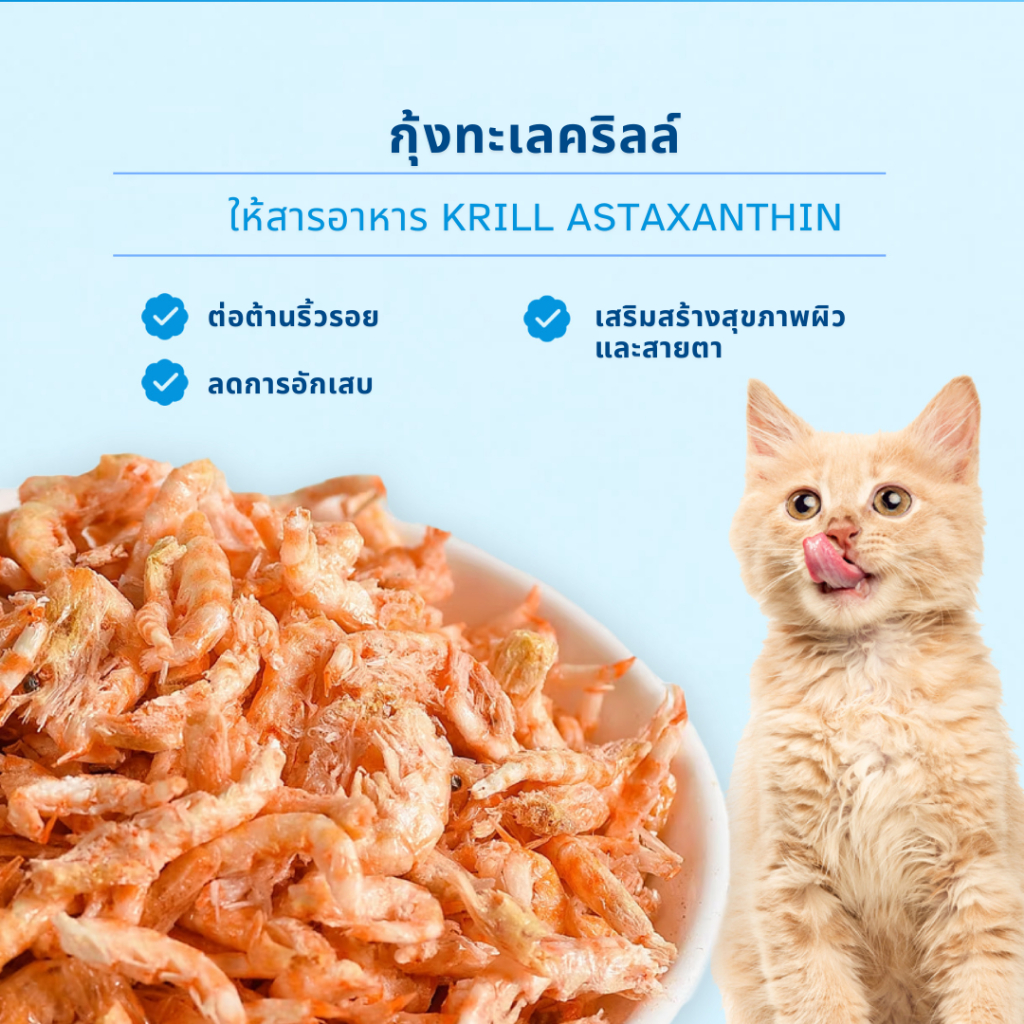 MRVET T4 อาหารเม็ดแมว combo 5 กก. - ลดกลิ่นเหม็น สำหรับแมวในบ้าน - รูปที่ 4