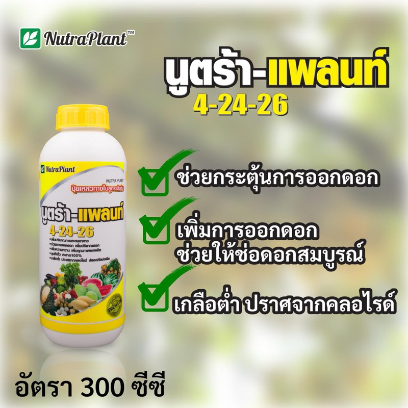 นูตร้า-แพลนท์ 4-24-26 ขนาด 1 ลิตร