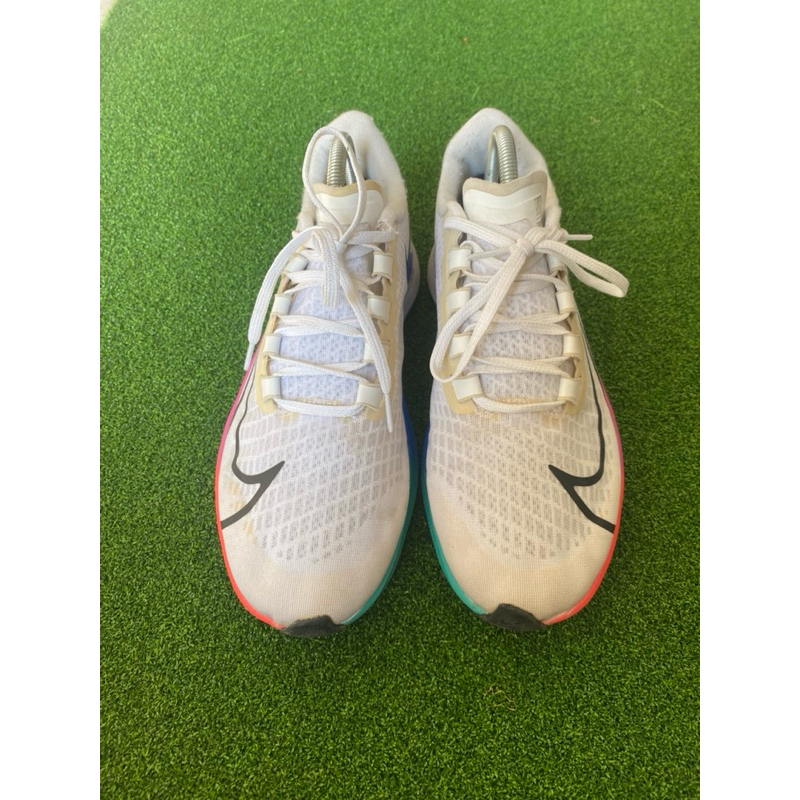 Nike air zoom pegasus