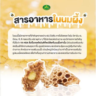 นมผึ้ง royal jelly ของแทั เนเจอร์คิง nature's king มี2ขนาด นมผึ้งออสเตรเลีย