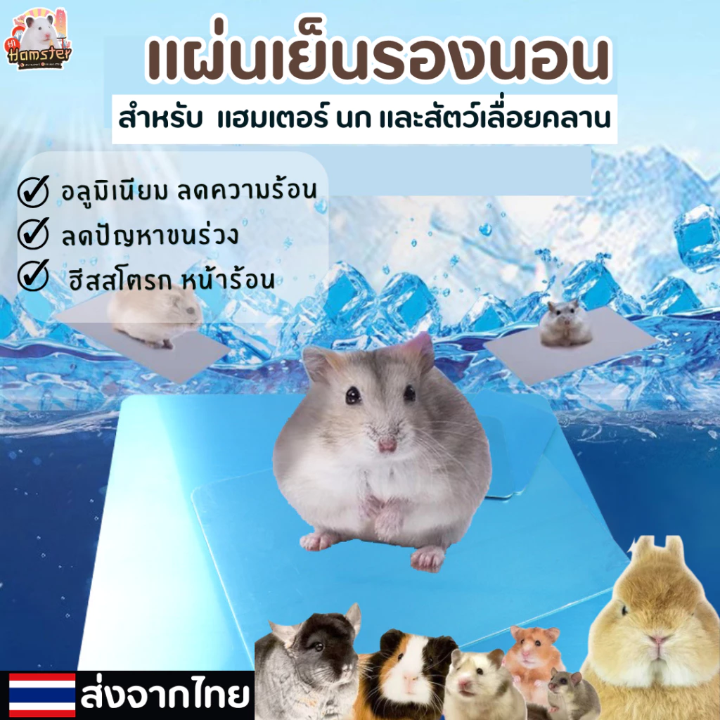 แผ่นเย็น แผ่นอลูมิเนียม แผ่นเย็นรองนอน สำหรับแฮมเตอร์ กระรอก สัตว์เลื่อยคลาน สัตว์เล็ก