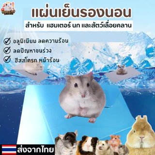 แผ่นเย็น แผ่นอลูมิเนียม แผ่นเย็นรองนอน สำหรับแฮมเตอร์ กระรอก สัตว์เลื่อยคลาน สัตว์เล็ก