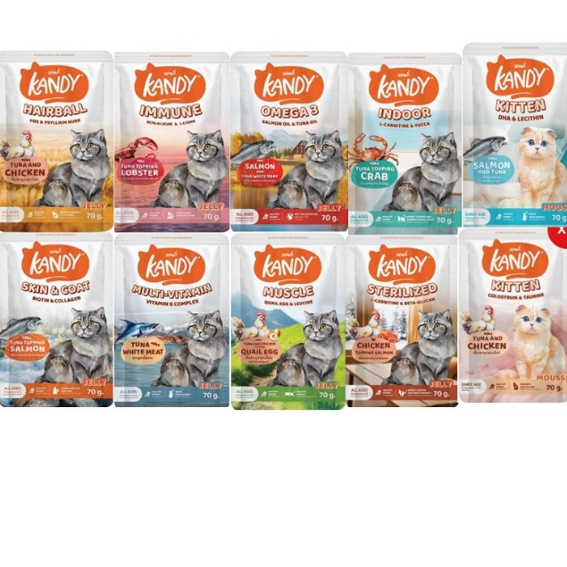 [ยกโหล12ซอง] Kandy แคนดี้ อาหารเปียกแมว ไม่ใส่เกลือ ผลิตจากปลาเนื้อขาว ขนาด 70 กรัม*โปรดอ่านรายละเอียดก่อนสั่งซื้อ