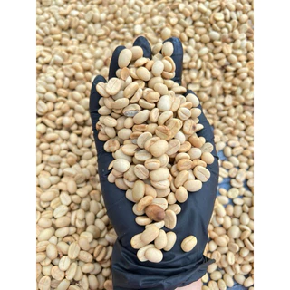 DB 250 g. Arabica Robusta Blend เมล็ดกาแฟสูตรผสมอาราบิก้าโรบัสต้า-คั่วเข้ม สูตร DB 250 กรัม