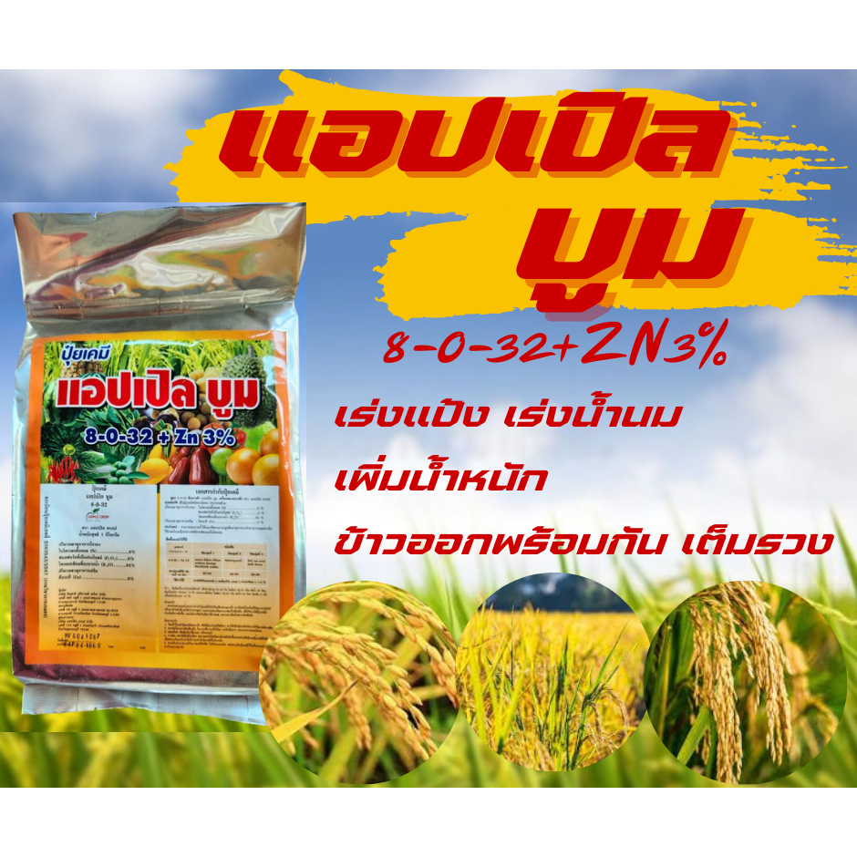 แอปเปิล บูม 8-0-32+Zn ลมเบ่ง เพิ่มแป้งเพิ่มผลผลิต