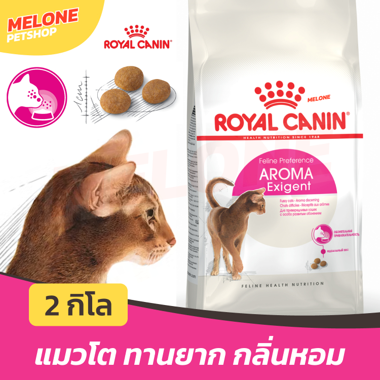 Royal Canin Aroma Exigent อาหารแมว แมวโต เลือกกิน ทานง่าย สูตร กลิ่นหอม อายุ 1 ปีขึ้นไป 4kg