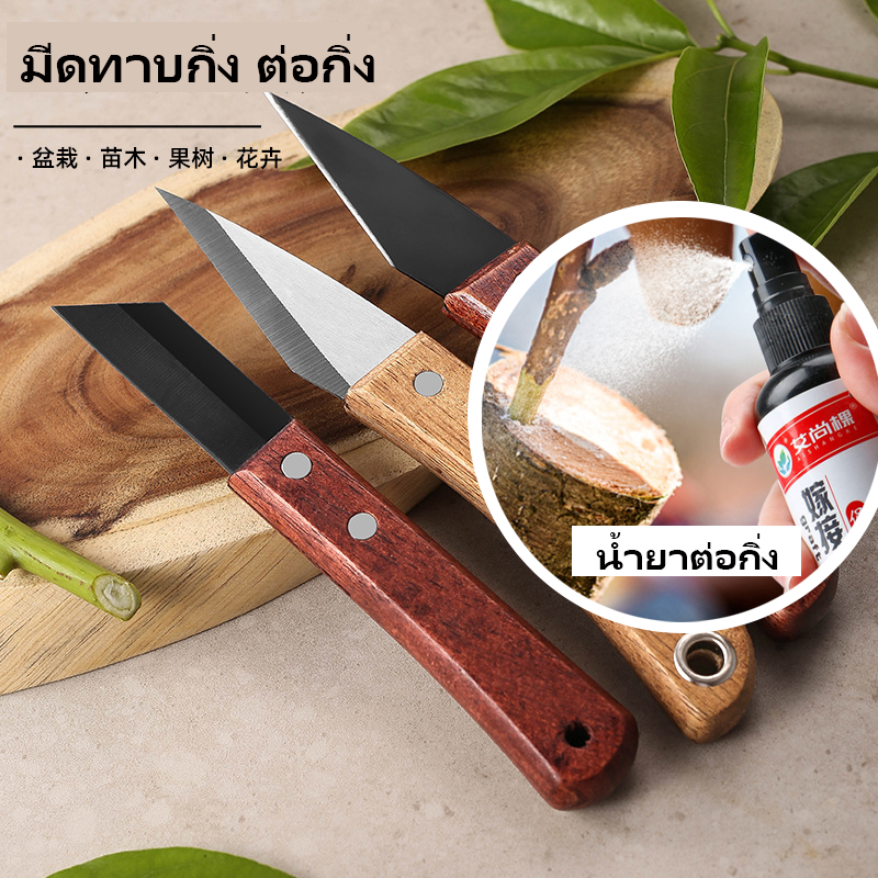 มีดตอนกิ่ง ติดตา ชำกิ่ง วัสดุทำจากใบมีดสแตนเลส ปลายแหลม คม มีดพับตอนกิ่ง แต่งกิ่ง ด้ามไม้แท้
