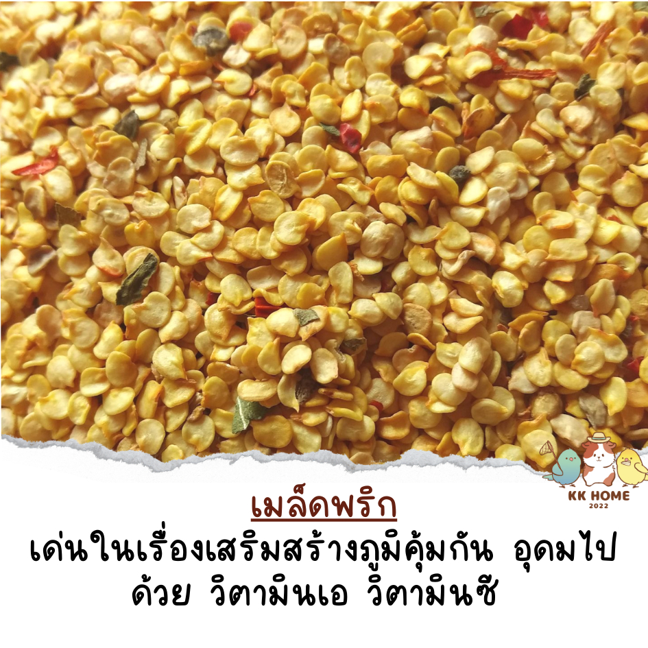 (ใช้เวาลาเตรียม1-3วัน) เม็ดพริกแห้ง เมล็ดพริก ขนาด  80 / 250 กรัม สำหรับนกแก้วเสริมสร้างภูมิคุ้มกัน