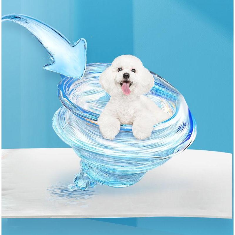 สุนัขเพศผู้ สุนัขเพศเมีย XXS-XL ผ้าอ้อมน้องหมา (12ชิ้น) มีหลายขนาดให้เลือก ผ้าอ้อมสุนัข เพศเมีย ผ้าอ้อมสัตว์เลี้ยง - รูปที่ 4