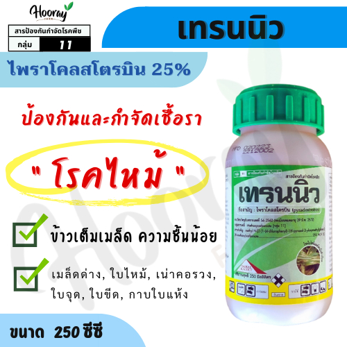 เทรนนิว 250 cc (ของแท้)( ไพราโคลสโตรบิน 25% )ป้องกันเชื้อรา โรคไหม้ แผลใหญ่ กิ่งแห้ง ใบจุด เมล็ดด่าง